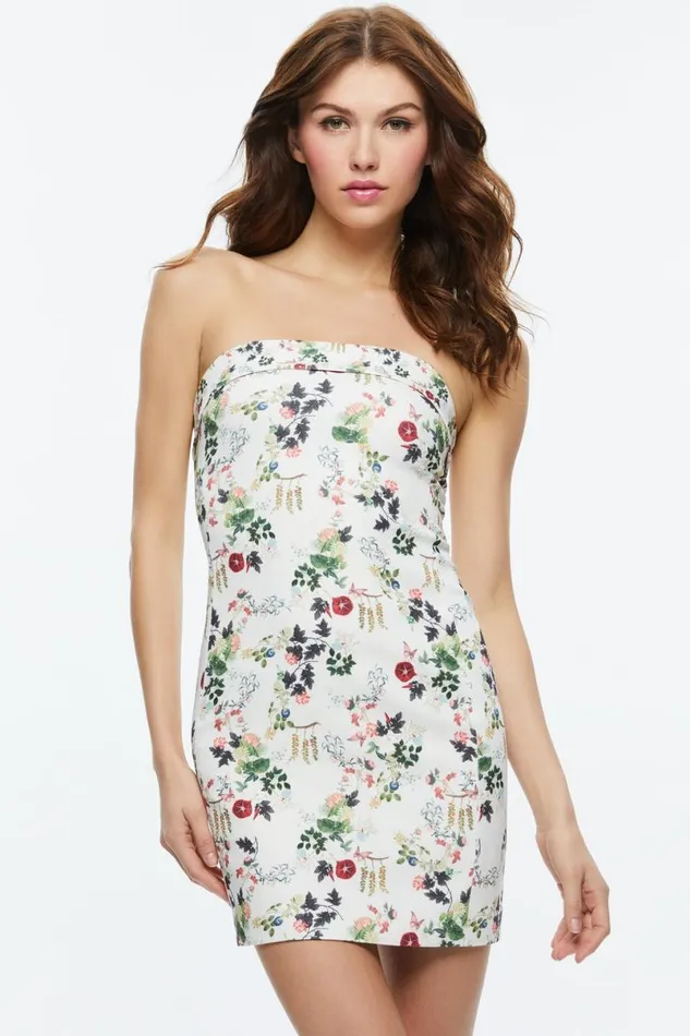 Alice Olivia Kelly Square Bust Mini Dress Blush Kiss Vanilla Women Dresses