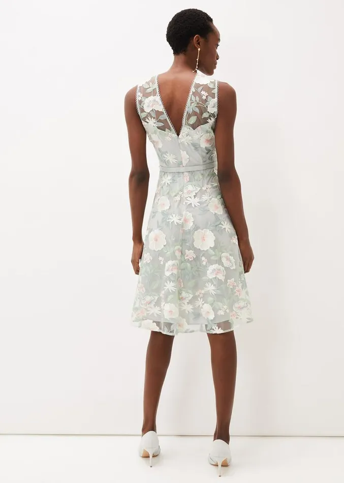 Aria Embroidered Fit And Flare Dress Eau De Nil Women Phase Eight Dresses