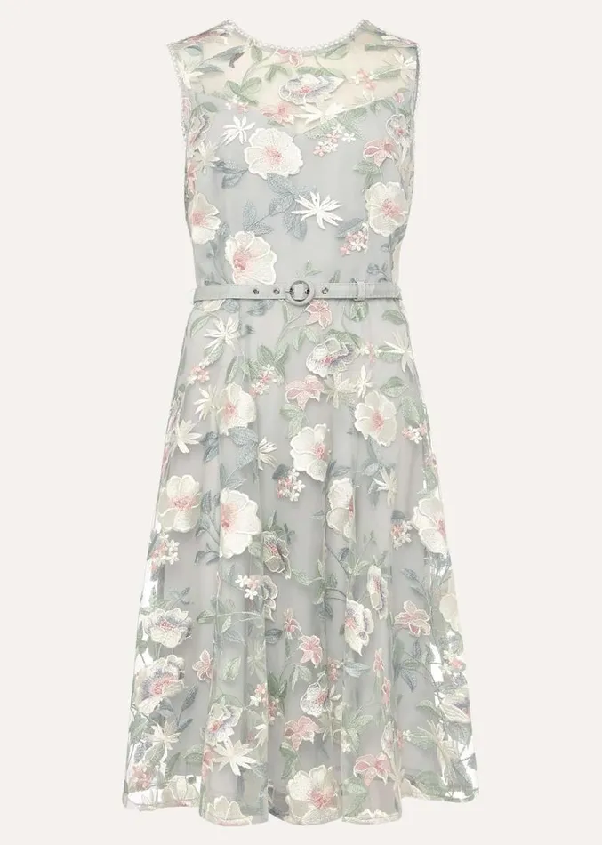 Aria Embroidered Fit And Flare Dress Eau De Nil Women Phase Eight Dresses