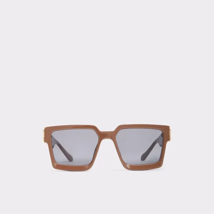 Biasini Brown Women ALDO Sunglasses