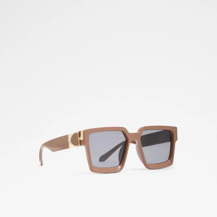 Biasini Brown Women ALDO Sunglasses