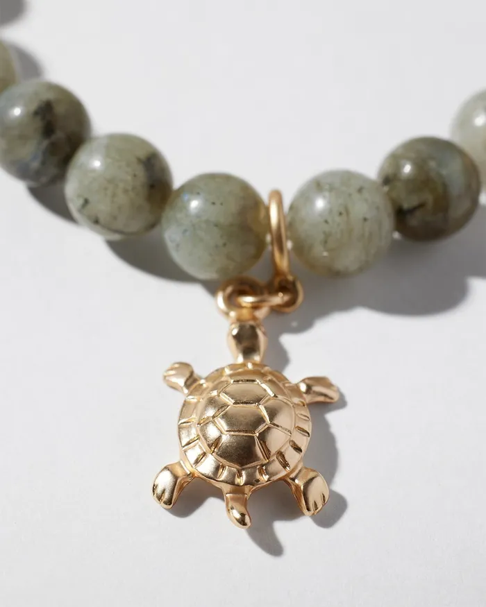 Chico039s Turtle Drop Off Stretch Bracelet Green Women Bracelets