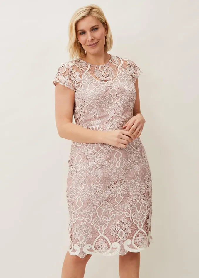 Frances Lace Fitted Dress Petal Women Phase Eight Dresses