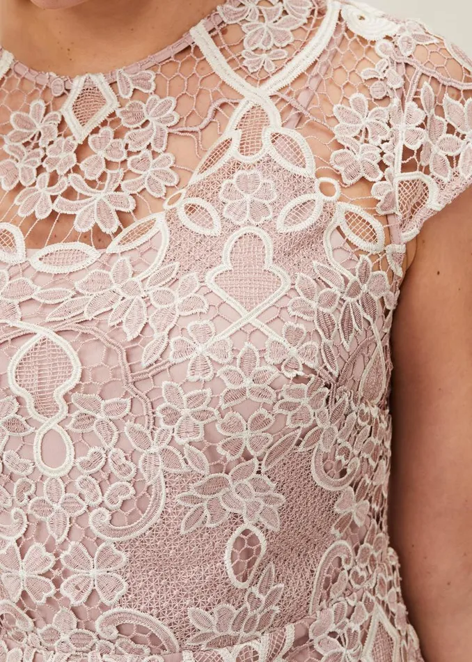 Frances Lace Fitted Dress Petal Women Phase Eight Dresses