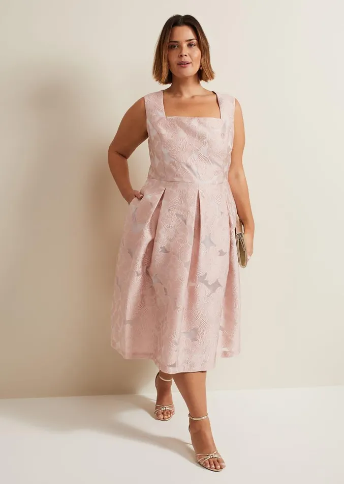 Jacesta Jacquard Fit And Flare Dress Pale Pink Women Phase Eight Dresses