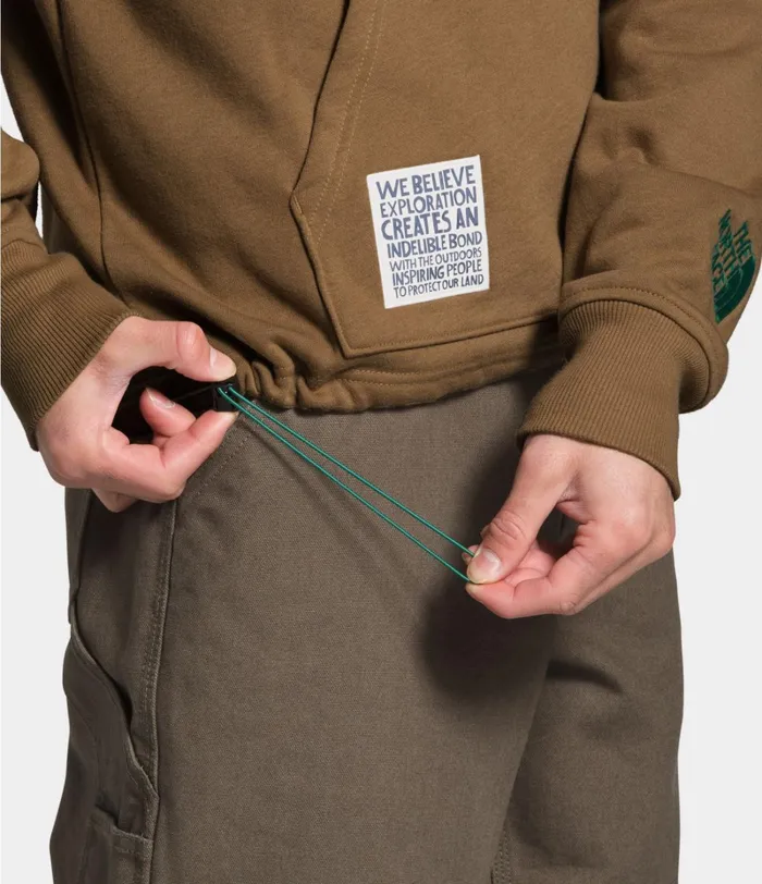 Mens The North Face Hoodies and Sweatshirts Rogue Graphic Pullover Hoodie Utility Brown