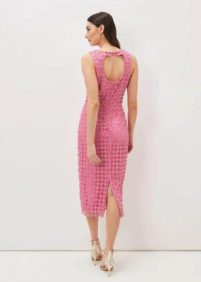 Novah Lace Midi Dress Candy Pink Women Phase Eight Dresses