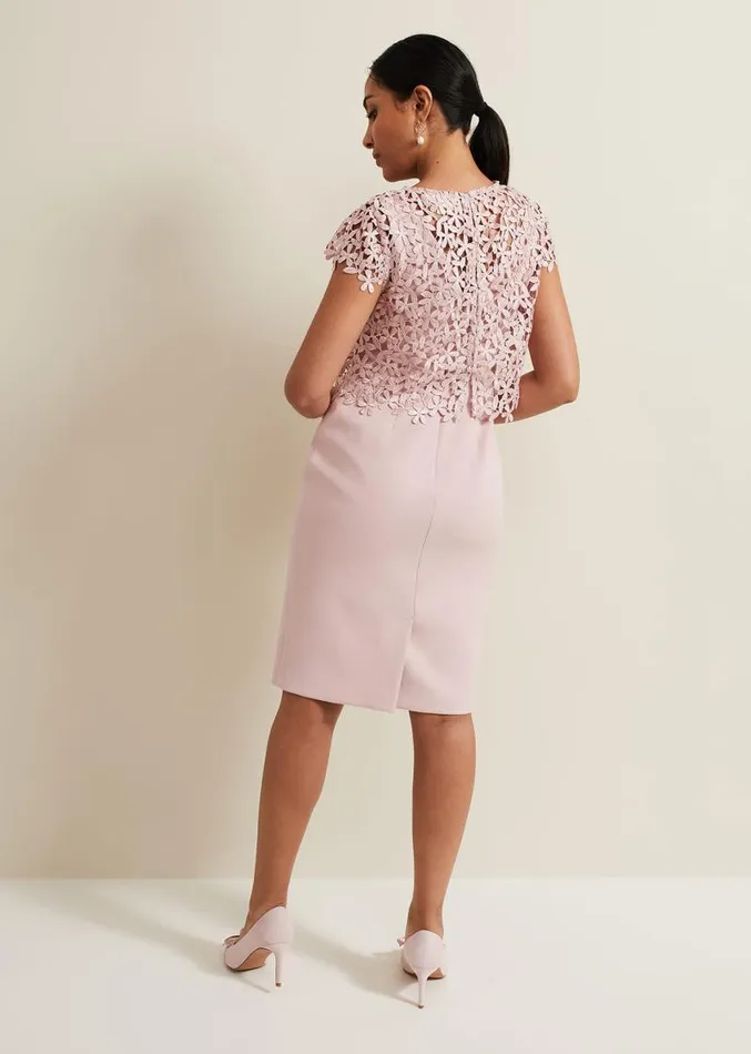 Petite Daisy Lace Midi Dress Pale Pink Women Phase Eight Dresses
