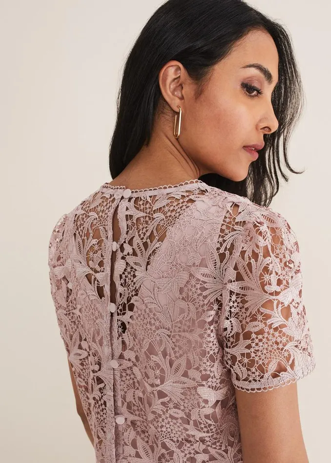 Petite Isabella Lace Midi Dress Antique Rose Women Phase Eight Dresses
