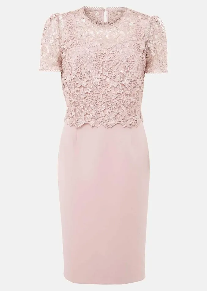 Petite Isabella Lace Midi Dress Antique Rose Women Phase Eight Dresses