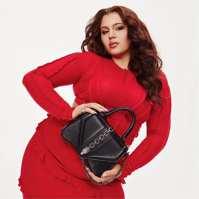 Stefanyx Black Women ALDO Top Handle Bags