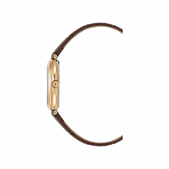 Women Aigner Watches Ladies Watch Trani Brown Women Aigner Watches Ladies Watch Trani Brown