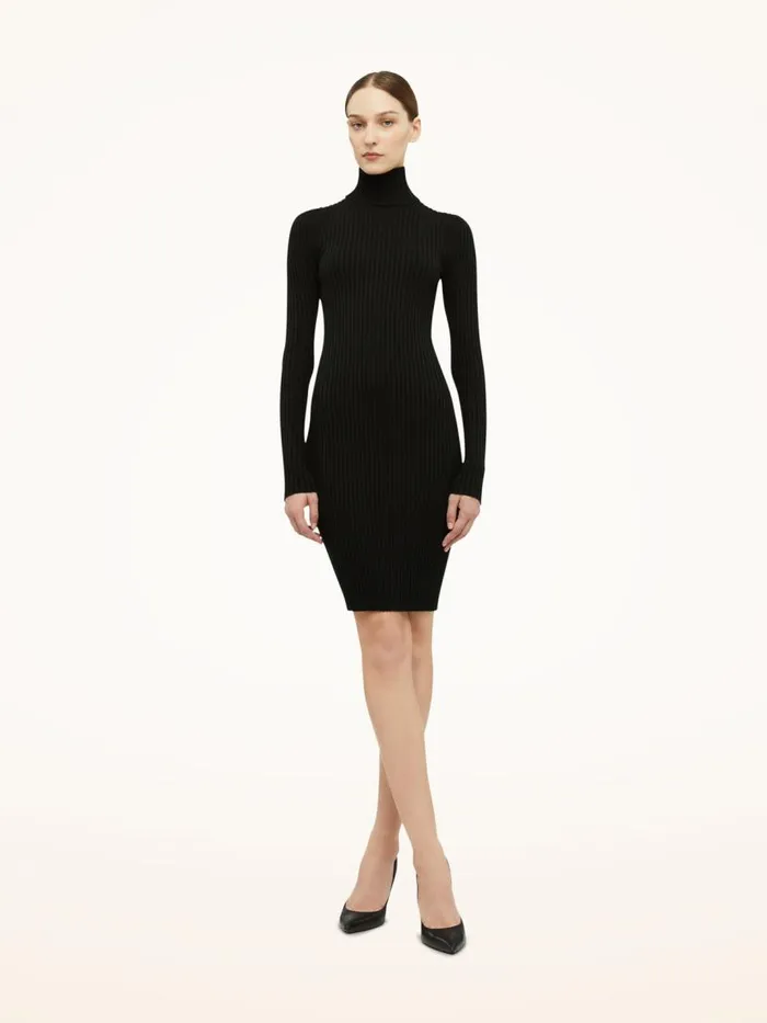 Women Dresses and Skirts Wolford Merino Rib Dress Black