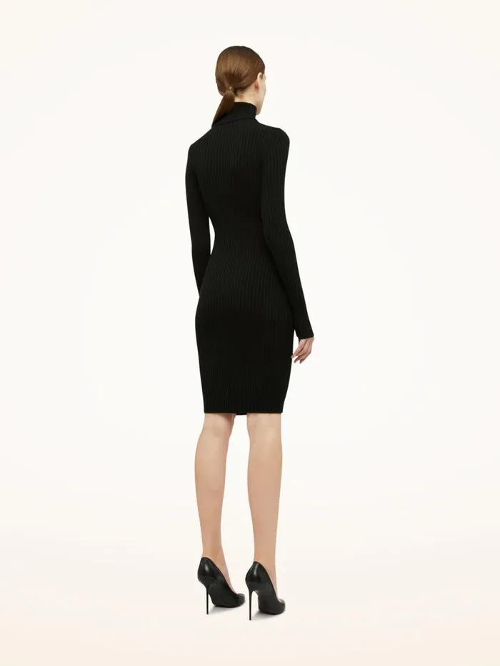 Women Dresses and Skirts Wolford Merino Rib Dress Black