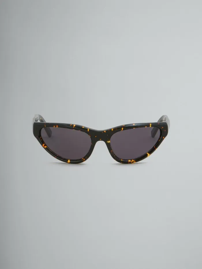WomenMen Marni Sunglasses Havana Mavericks Sunglasses