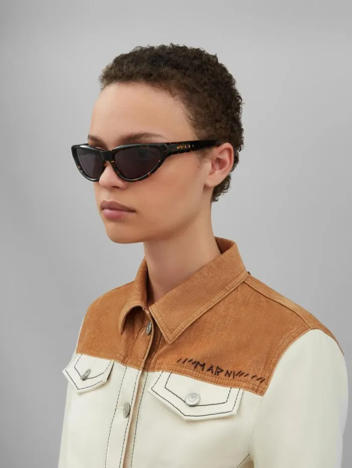 WomenMen Marni Sunglasses Havana Mavericks Sunglasses