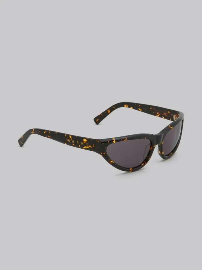 WomenMen Marni Sunglasses Havana Mavericks Sunglasses